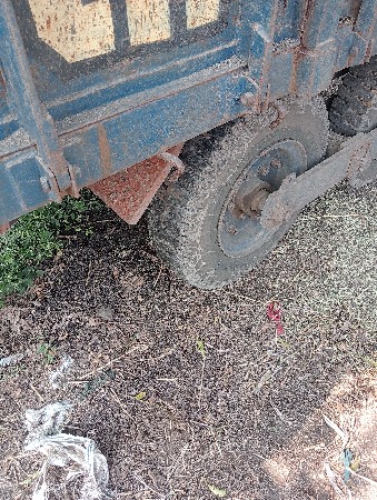 थंबनेल 2