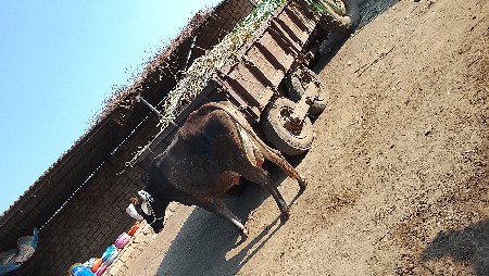 थंबनेल 4