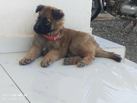 थंबनेल 2