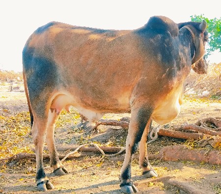 थंबनेल 2