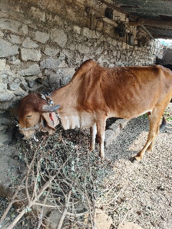 थंबनेल 2