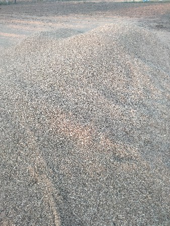 ચણાની ખારી  નીરણ માટે દેવાની છે