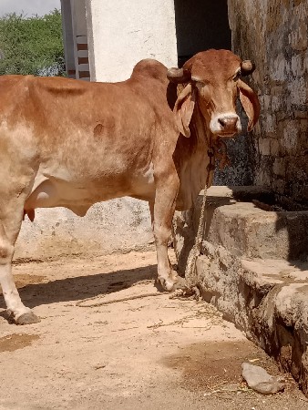 थंबनेल 2