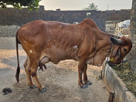 थंबनेल 2