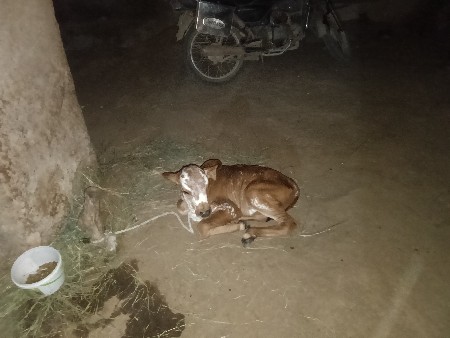 थंबनेल 3