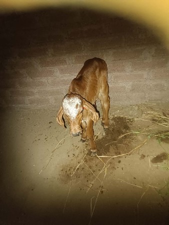 थंबनेल 3