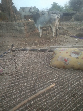 थंबनेल 2