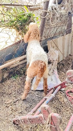 थंबनेल 2