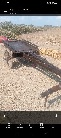 થંબનેલ 2