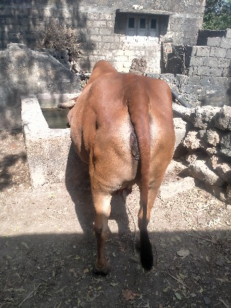 थंबनेल 3