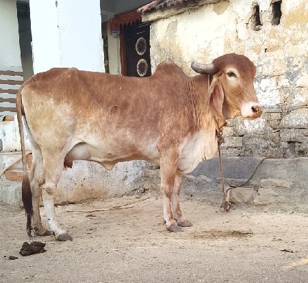 थंबनेल 3