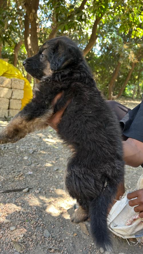 थंबनेल 2