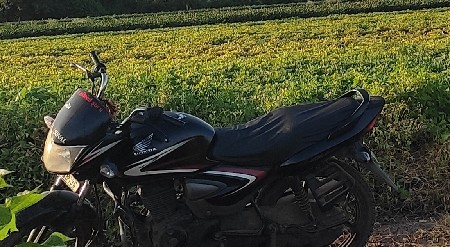 थंबनेल 2