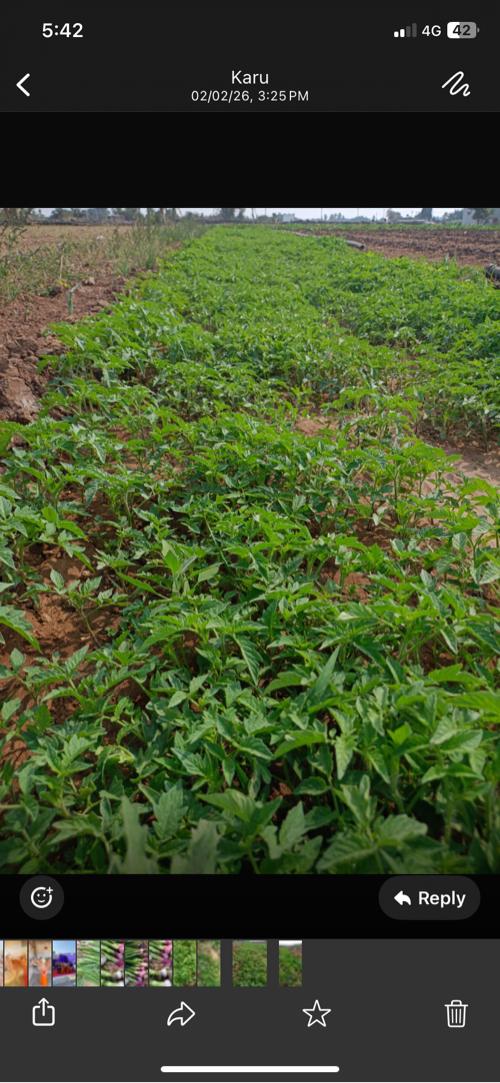 આમા ફોન કરવો 
9714391073