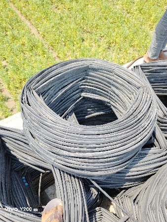 थंबनेल 5