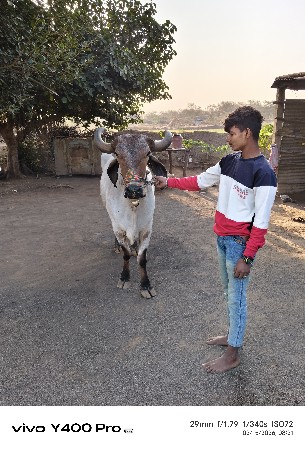 थंबनेल 2