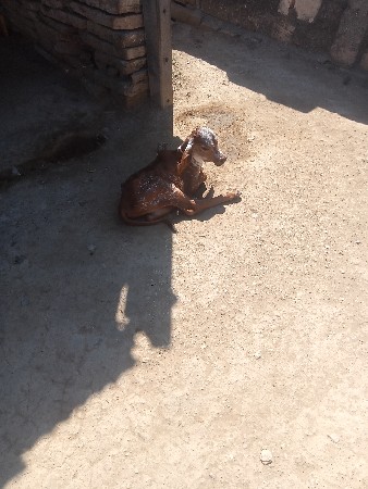 થંબનેલ 2