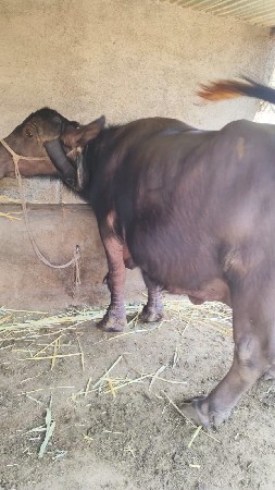 આ નંબર પર ફોન કરવો 9712527010