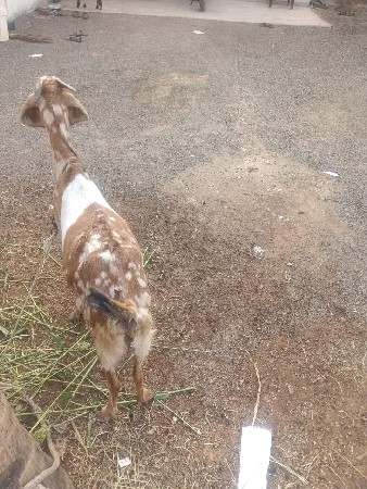 थंबनेल 2