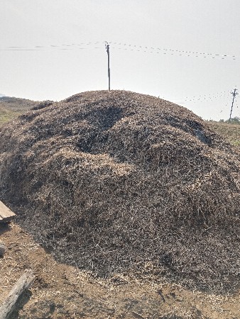 37 નંબર માંડવાનું ભુક્કો