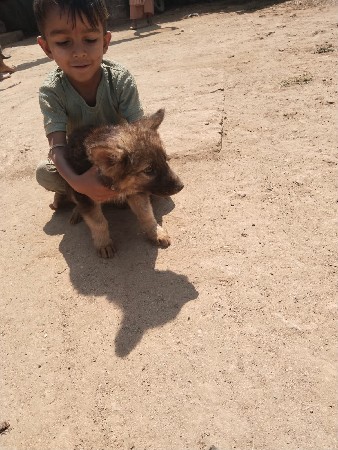 थंबनेल 2