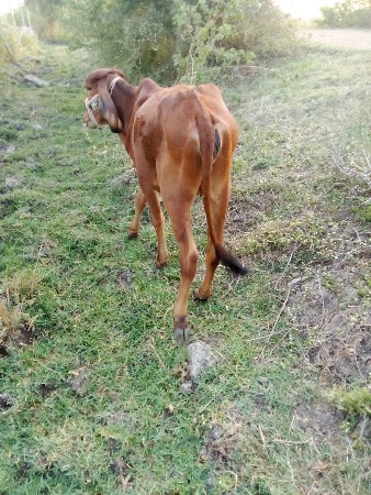 थंबनेल 2