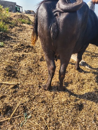 थंबनेल 3