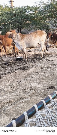 थंबनेल 2