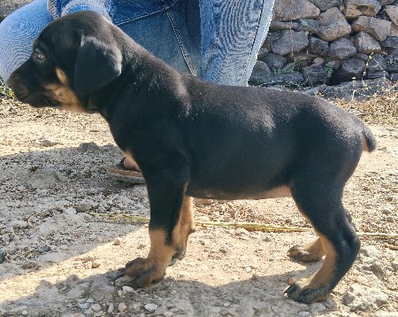 थंबनेल 2