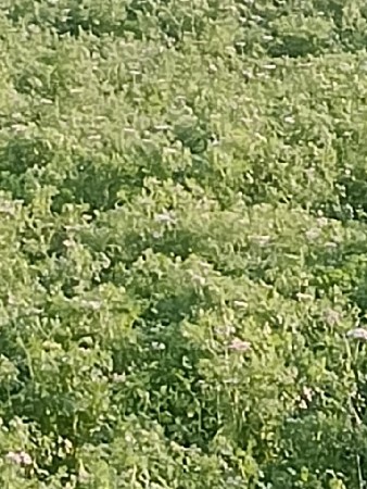 જમીન  લે વેચ માટે