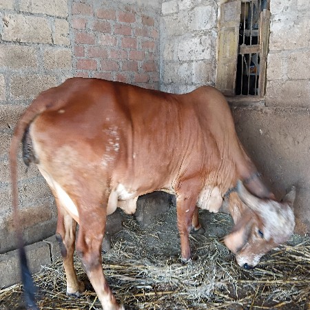 थंबनेल 2