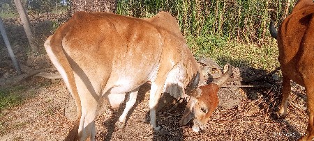 थंबनेल 3