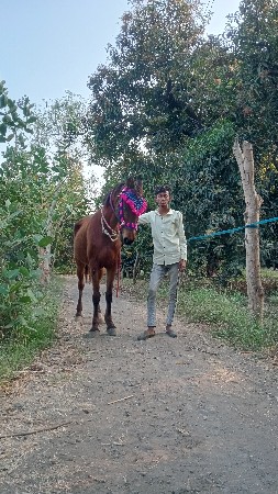 થંબનેલ 3