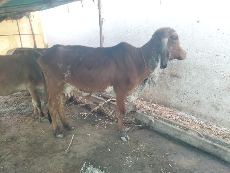 थंबनेल 2