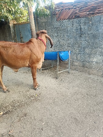 થંબનેલ 2