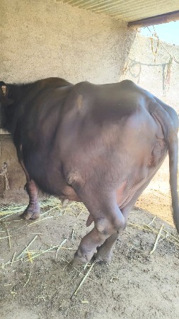 थंबनेल 2