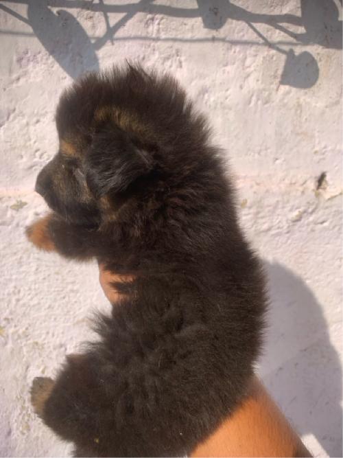 थंबनेल 3