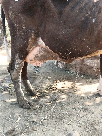 थंबनेल 2