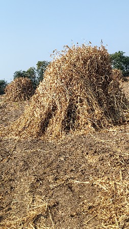 નિરણ વેચવા ની છે