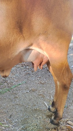 थंबनेल 2