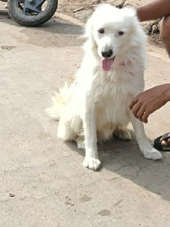 थंबनेल 3