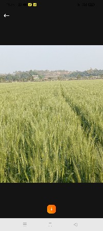 બગીચા વાળી જમીન લેવા માટે મળો