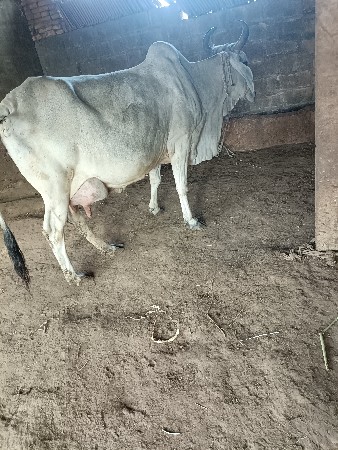 थंबनेल 2