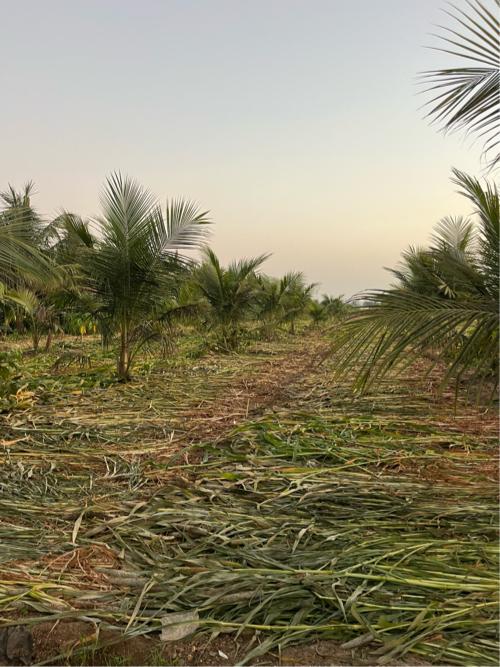 थंबनेल 3