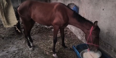 थंबनेल 3