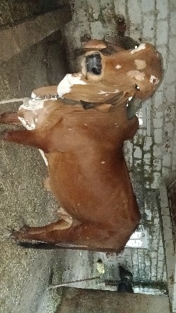 थंबनेल 3