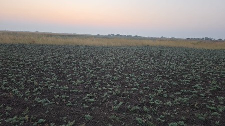 પોરબંદર રાણાવાવ કુતિયાણા