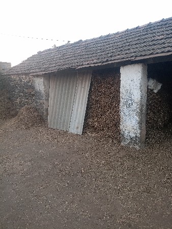 માંડવી નો દુસો 20હજાર