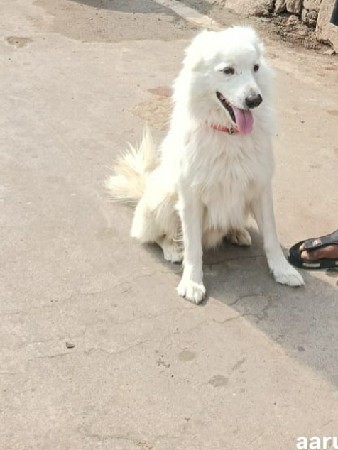 थंबनेल 2