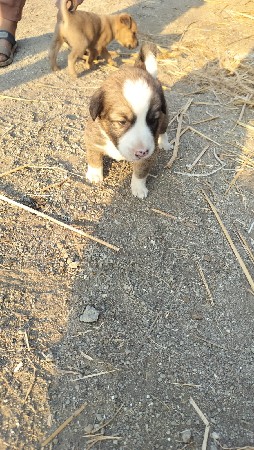 थंबनेल 2